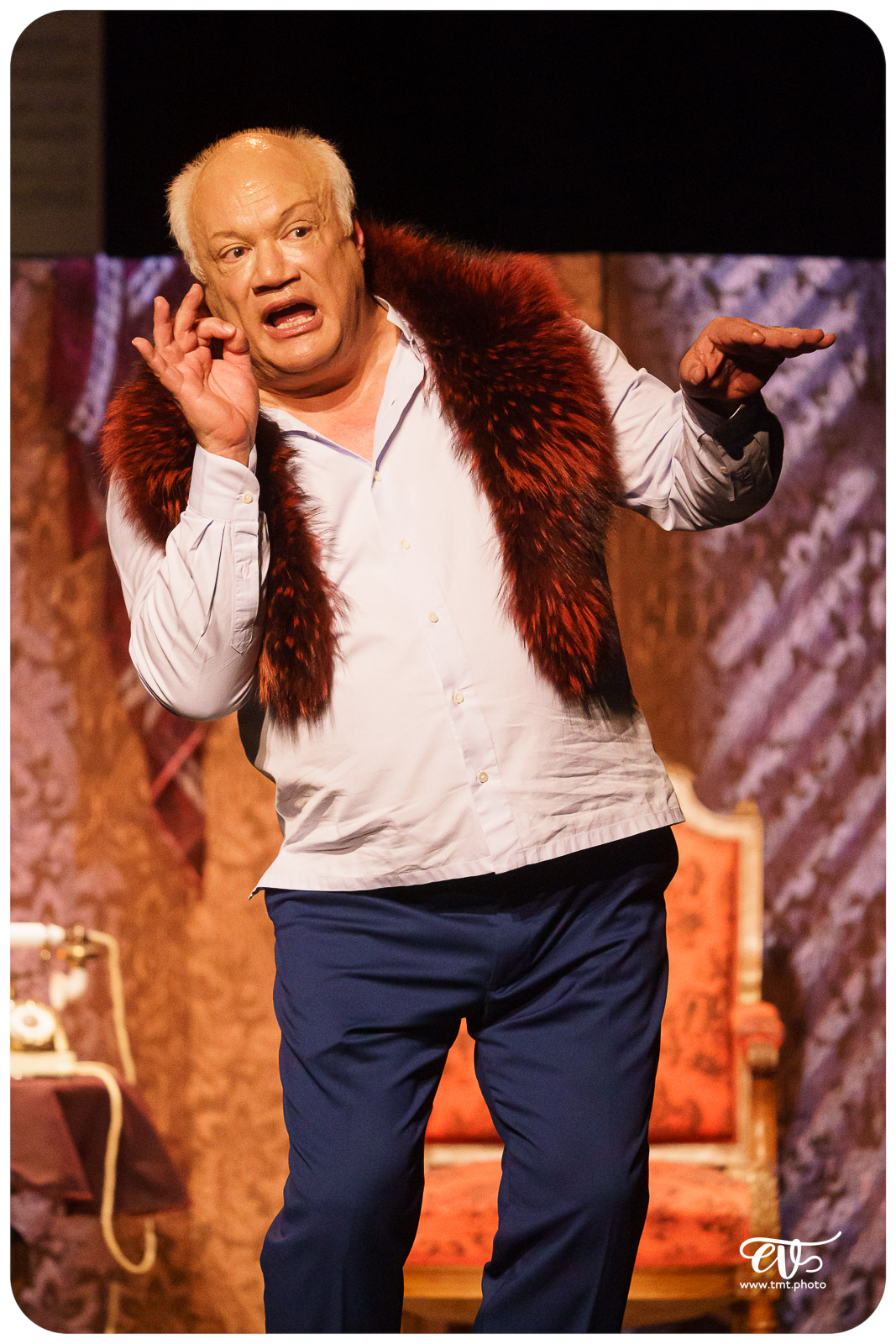 MADAME PYLINSKA ET LE SECRET DE CHOPIN (ERIC-EMMANUEL SCHMITT)